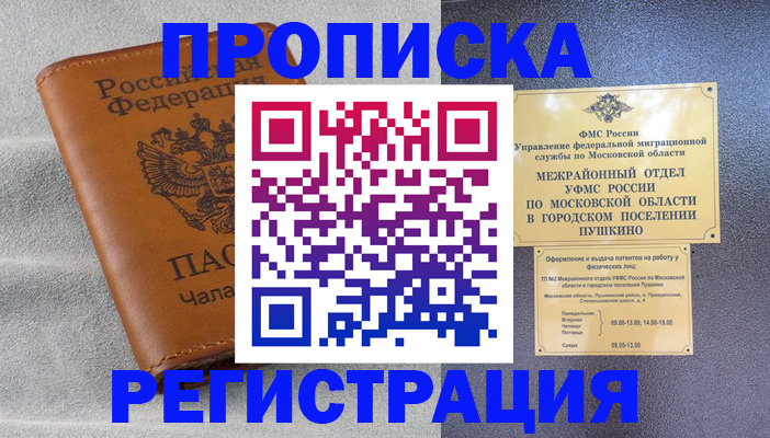 прописка 2025 в Камышине